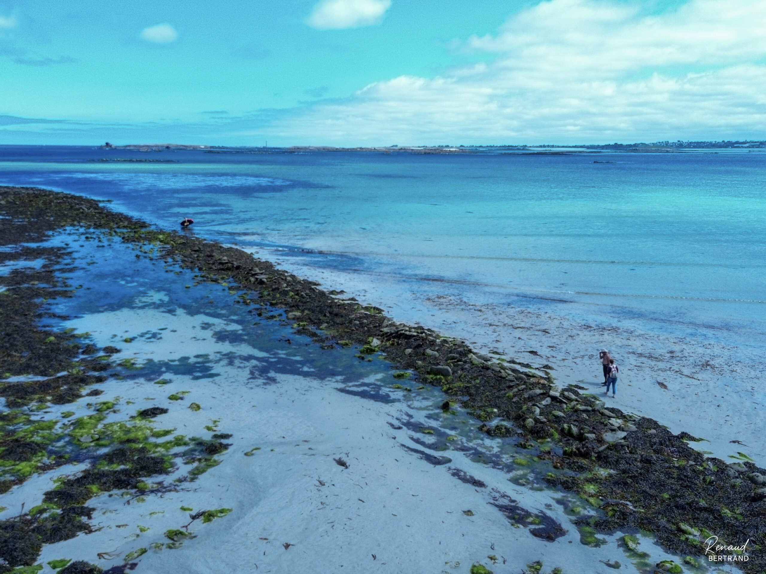 Estran du Finistère à marée basse, zone de récolte des algues